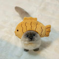 Funny Cat Cap Bear Plush Head Cover Cute Cat Dog Woven Warm Headdress Pet Hat Kitten Puppy Cosplay Costume Accessories Festive Paws