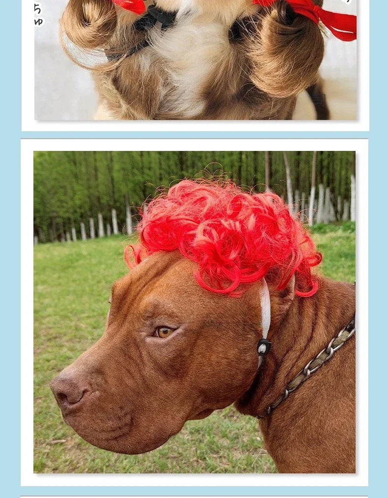 Dogs Cats Headdress Funny Pet Wigs Bangs Exploding Head Braids Straight Hair Nylon Fibre Material Halloween Pet Accessories Festive Paws