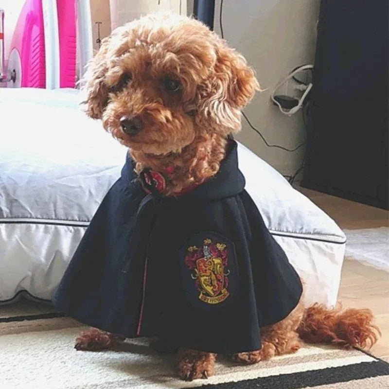 Movie Magic School Wizard Pet Costume Festive Paws