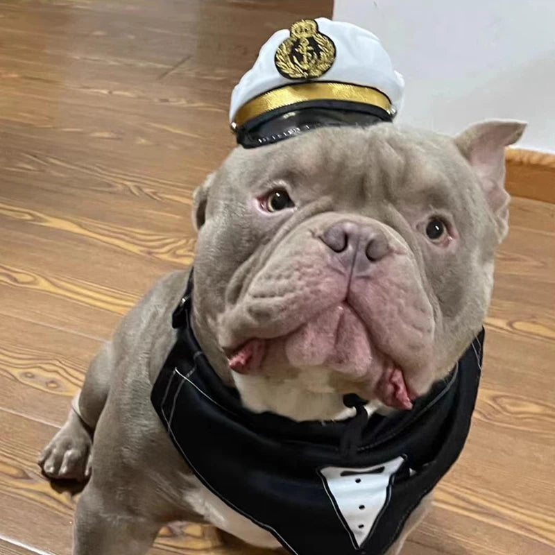 Halloween Pet Cosplay Police, pilot, etc Hat Accessories