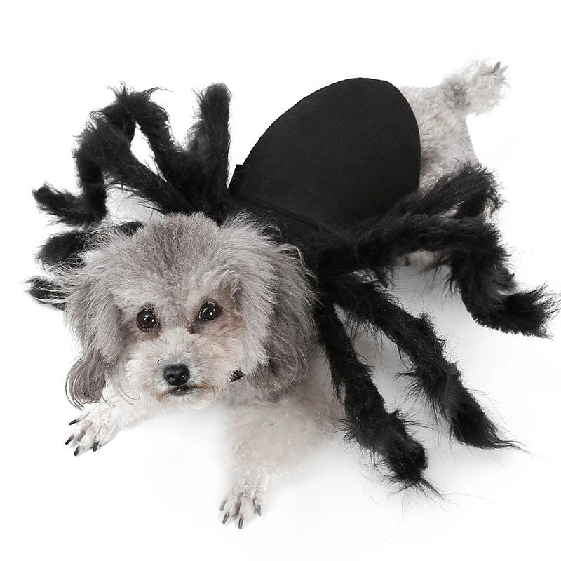 NONOR Halloween Dog Cat Clothes Pet Cosplay Funny Spider Costume Halloween Party Costumes for Small Medium Dog Cat Costumes Festive Paws
