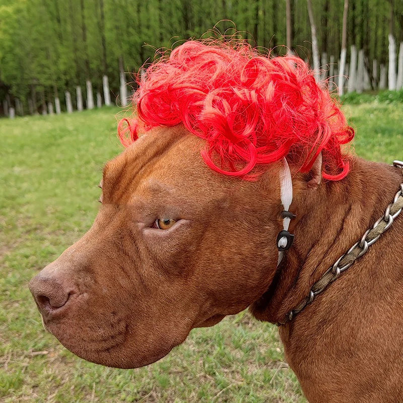 Dogs Cats Headdress Funny Pet Wigs Bangs Exploding Head Braids Straight Hair Nylon Fibre Material Halloween Pet Accessories Festive Paws