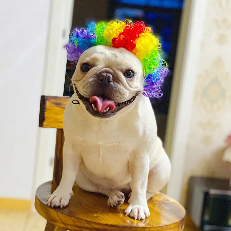 Dogs Cats Headdress Funny Pet Wigs Bangs Exploding Head Braids Straight Hair Nylon Fibre Material Halloween Pet Accessories Festive Paws