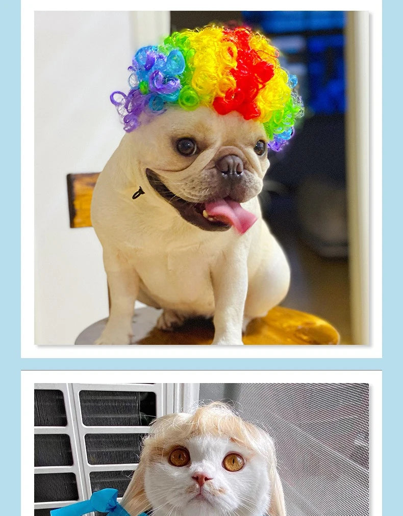 Dogs Cats Headdress Funny Pet Wigs Bangs Exploding Head Braids Straight Hair Nylon Fibre Material Halloween Pet Accessories Festive Paws