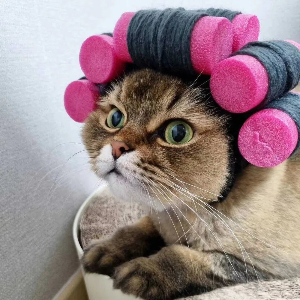 Roller Curls Hat for Pets Festive Paws