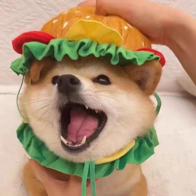 Hat Burger for pets