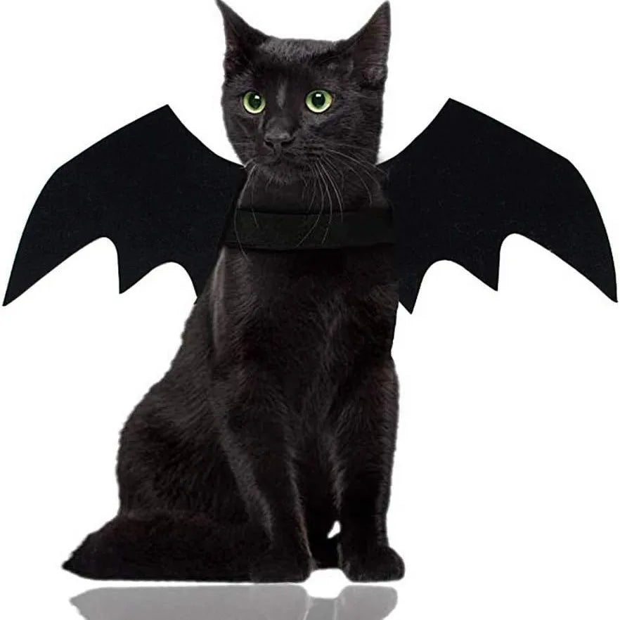 Black Bat Wings Cat / Dog