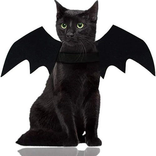 Black Bat Wings Cat / Dog