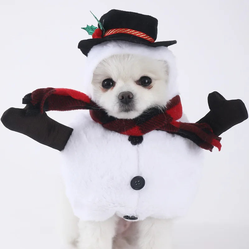 Dog Halloween Clothes Funny Pet Costume Small Dog Jacket Creative Outfit for Teddy Cats  Costume Dog Clothes for Small Dogs Festive Paws