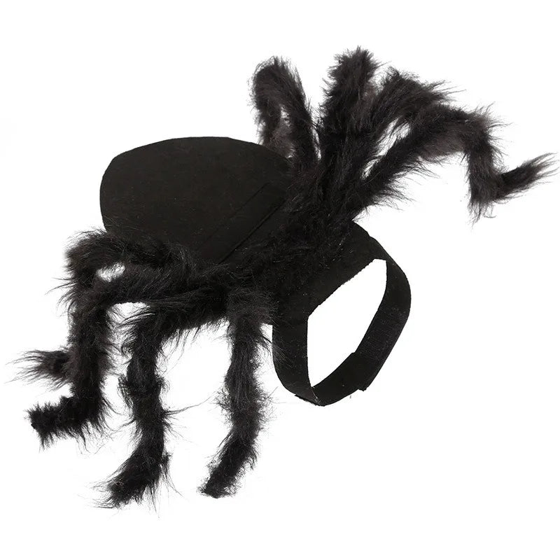 NONOR Halloween Dog Cat Clothes Pet Cosplay Funny Spider Costume Halloween Party Costumes for Small Medium Dog Cat Costumes Festive Paws
