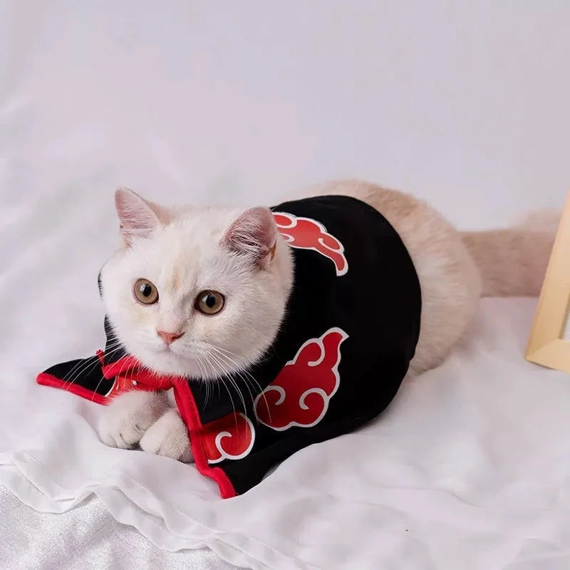 Anime Haruto Pet Cloak Costume