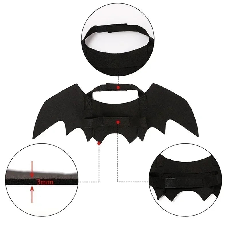 Black Bat Wings Pet Festive Paws