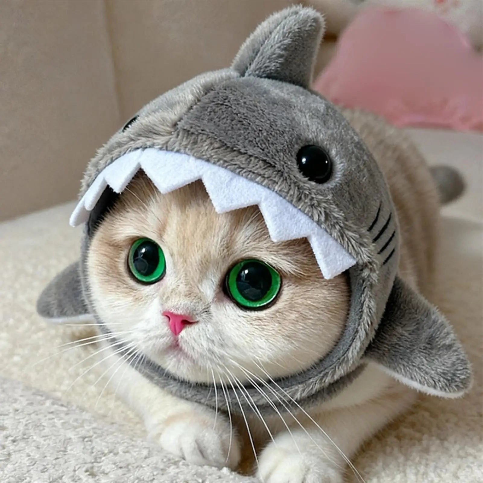 Kitten Outfits Adjustable Cat Shark Headdress Cartoon Warm Plush Cat Decorative Hat Cute Soft Pet Costume Halloween Festive Paws