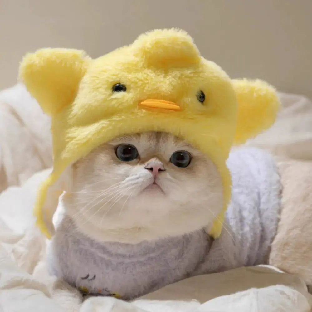 Cute Knitting Wool Cat Hat Elastic Cute Design Knitted Hat Photo Props Cat Accessories Kittens Wear Festive Paws