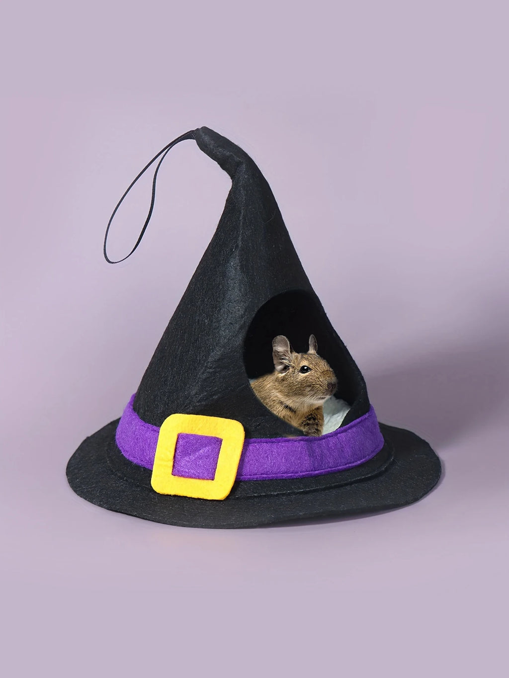 Small Animal Halloween House Hideout & Costume Set- Hamster Cave House Bed Nest Hideout Witch Hat Design Hamster Witch Hat  for Festive Paws