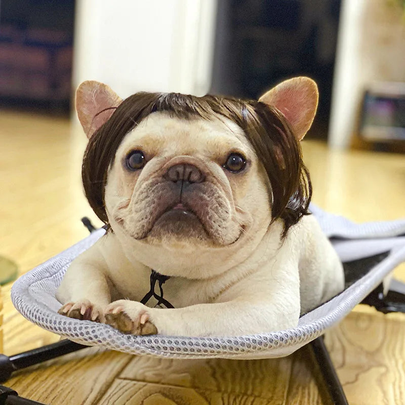 Dogs Cats Headdress Funny Pet Wigs Bangs Exploding Head Braids Straight Hair Nylon Fibre Material Halloween Pet Accessories Festive Paws