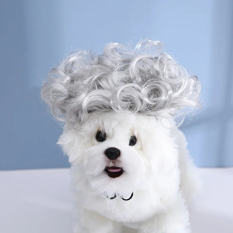 Dogs Cats Headdress Funny Pet Wigs Bangs Exploding Head Braids Straight Hair Nylon Fibre Material Halloween Pet Accessories Festive Paws