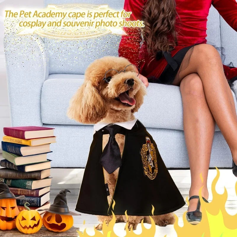 Movie Magic School Wizard Pet Costume Festive Paws