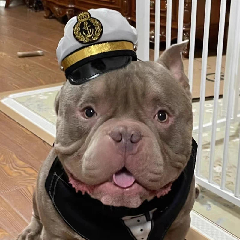 Halloween Pet Cosplay Police, pilot, etc Hat Accessories