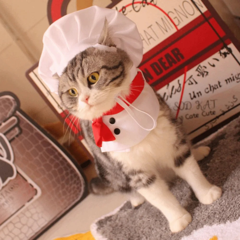 Pet Accessories Cute Pet Cooking King Hat Comfortable Stylish Cat Transformation Dress Adjustable Chef Hat Set Pet Events Festive Paws