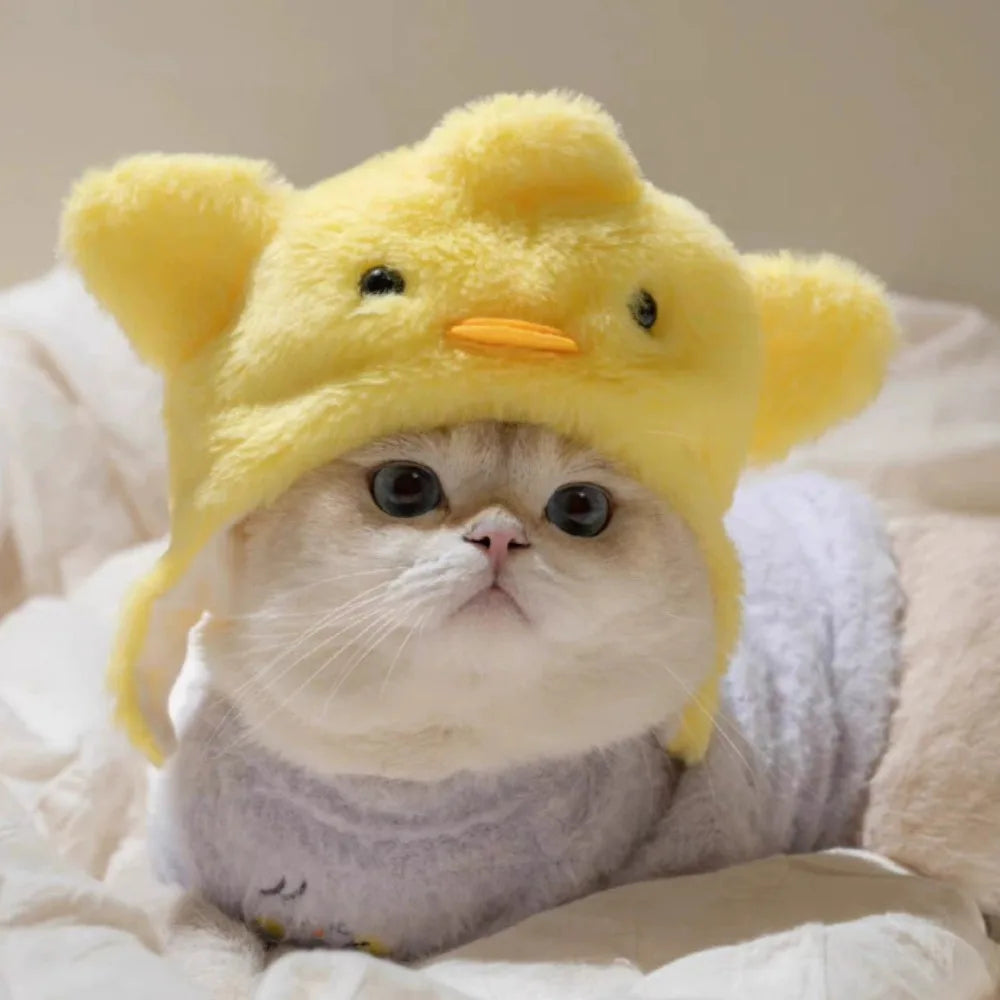 Cute Knitting Wool Cat Hat Elastic Cute Design Knitted Hat Photo Props Cat Accessories Kittens Wear Festive Paws