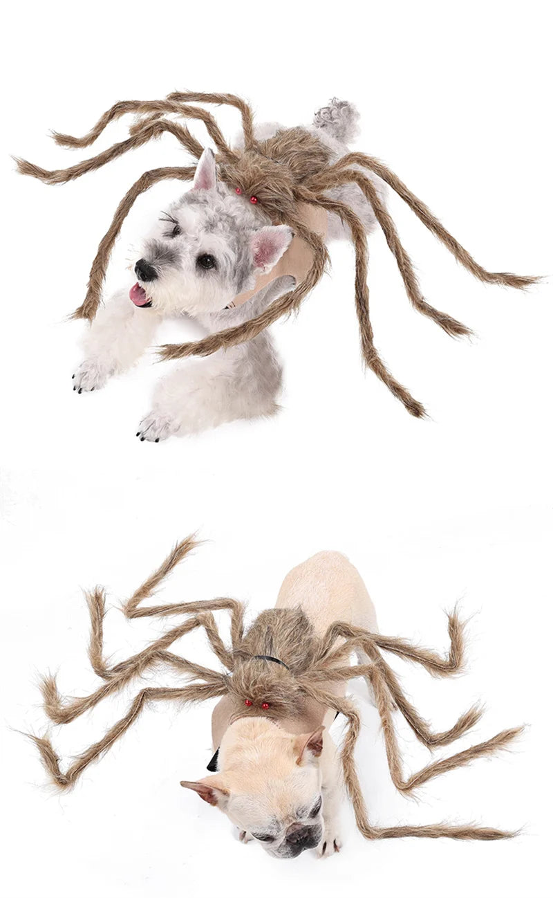 Halloween Dog Cat Clothes Pet Cosplay Funny Spider Costume Halloween Party Costumes for Small Medium Dog Cat Costumes ropa para Festive Paws