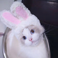Bunny Ears For Cat