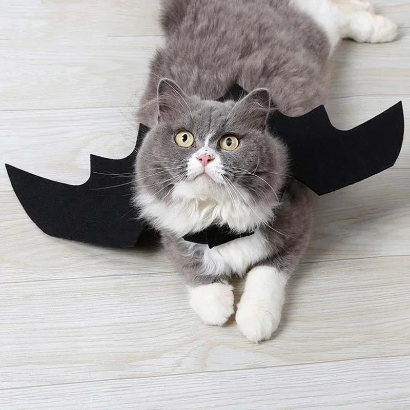 Black Bat Wings Pet Festive Paws