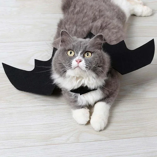 Black Bat Wings Pet Festive Paws