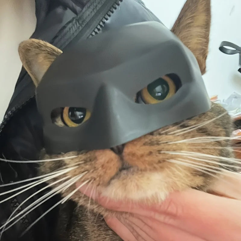 Pet Cat Photo Mask Cool Bat Mask For Cats Dogs Pet Toys Halloween Funny Bat Cat Accessory Superhero Black Cute Photo Dog Props Festive Paws