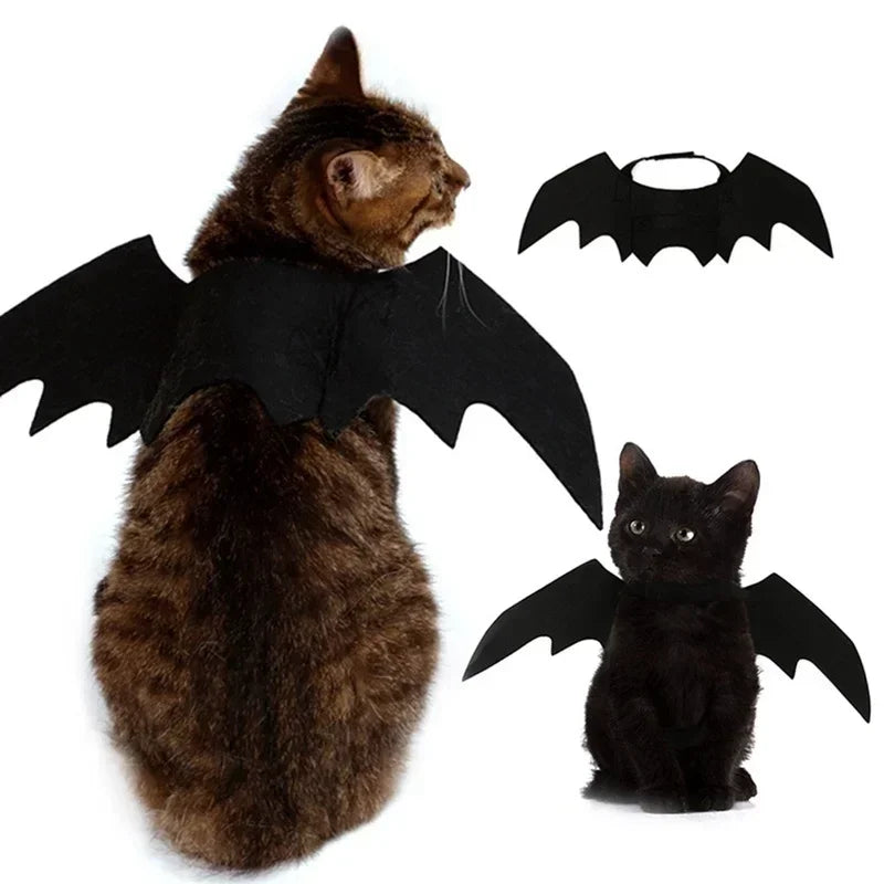 Black Bat Wings Pet Festive Paws