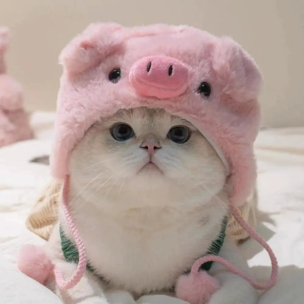 Cute Knitting Wool Cat Hat Elastic Cute Design Knitted Hat Photo Props Cat Accessories Kittens Wear Festive Paws