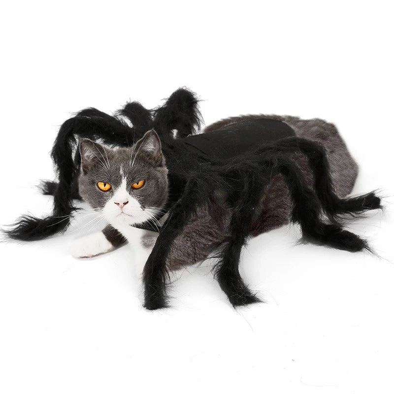 NONOR Halloween Dog Cat Clothes Pet Cosplay Funny Spider Costume Halloween Party Costumes for Small Medium Dog Cat Costumes Festive Paws