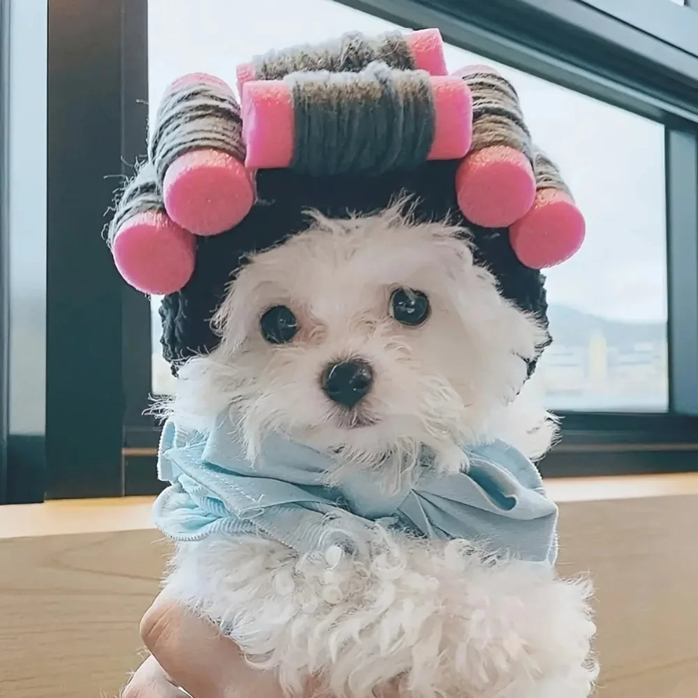 Roller Curls Hat for Pets Festive Paws