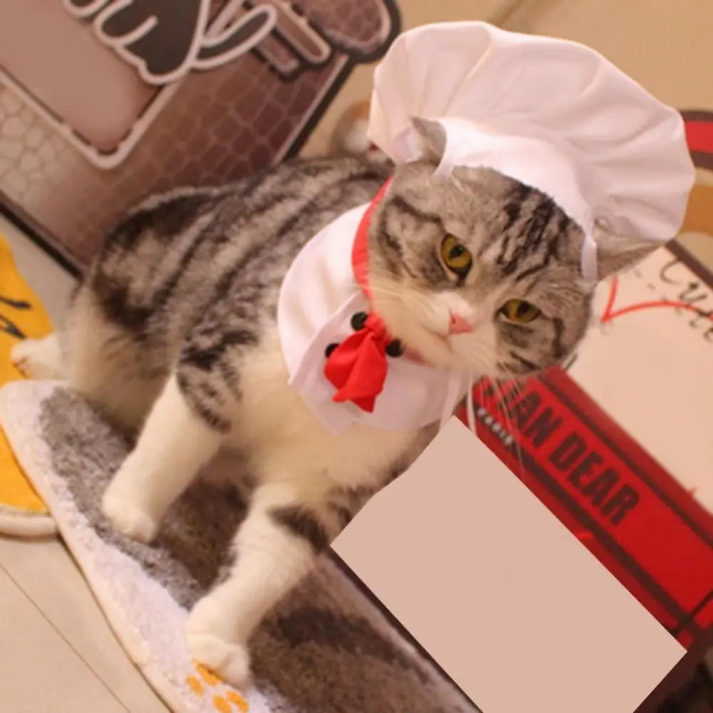 Chef Hat Set Cooking Cat / Dog