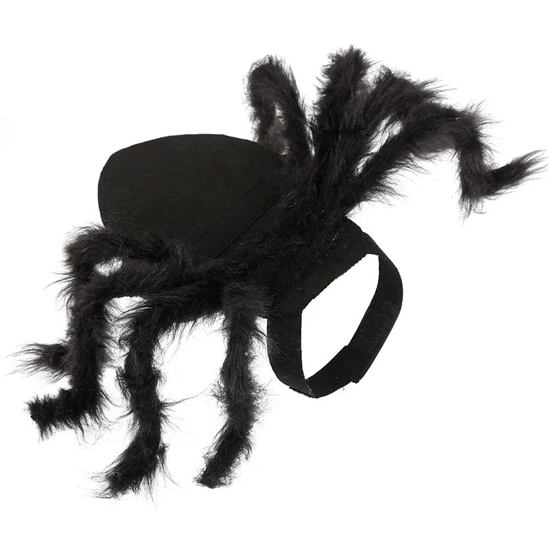Spider Costume  Dog / Cat