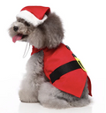 Santa Costume