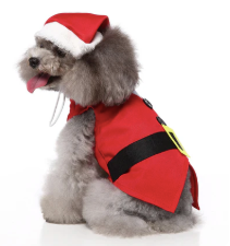 Santa Costume