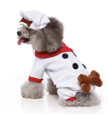 Chef costume - dog