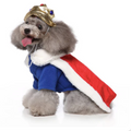 King costume - dog