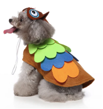Owl Costume - Dog