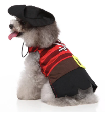 Pirate Costume - Dog
