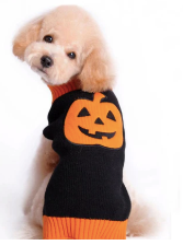 Black & Orange Pumpkin Knit Sweater – Dog & Cat