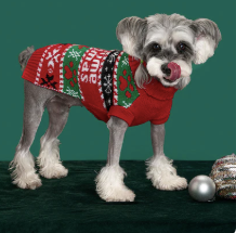Pawsome Christmas Sweater Knit - Dog