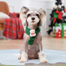 Green Christmas Pet Scarf – Holiday Accessory