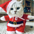 Santa Claus Pet Costume with Hat – Dog & Cat