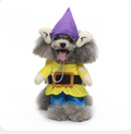 Elf Gnome Pet Costume