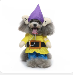Elf Gnome Pet Costume