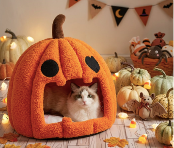 Pumpkin Shaped Pet Bed