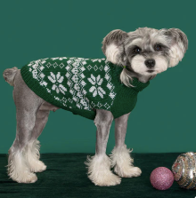 Green Snowflake Pet Sweater